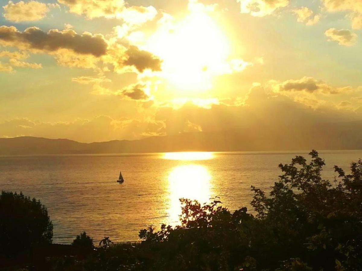 Villa Forest Paradise Ohrid Kültér fotó