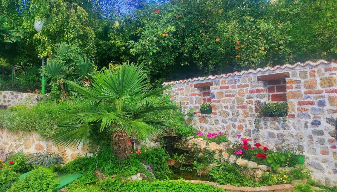 Villa Forest Paradise Ohrid Kültér fotó