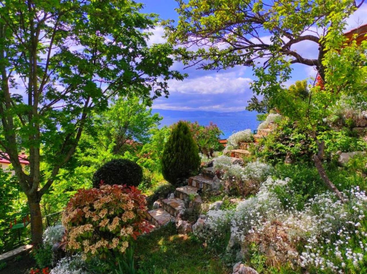 Villa Forest Paradise Ohrid Kültér fotó