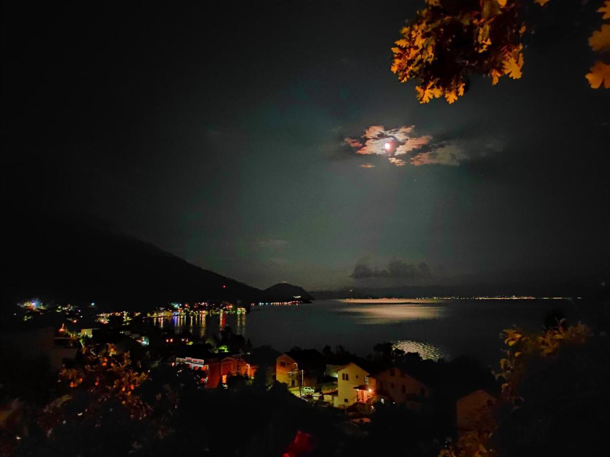 Villa Forest Paradise Ohrid Kültér fotó