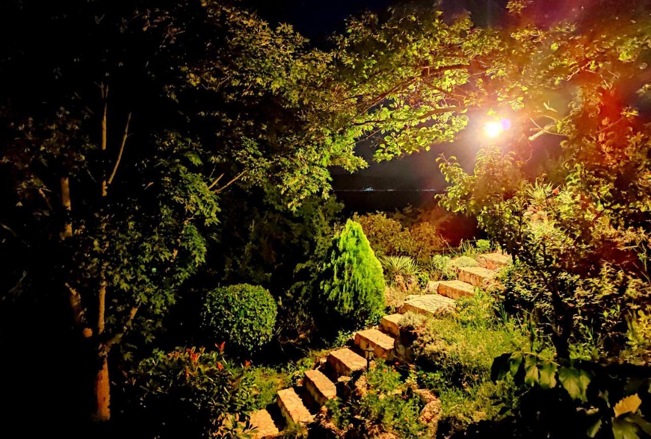 Villa Forest Paradise Ohrid Kültér fotó