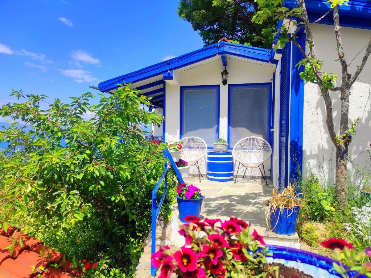 Villa Forest Paradise Ohrid Kültér fotó