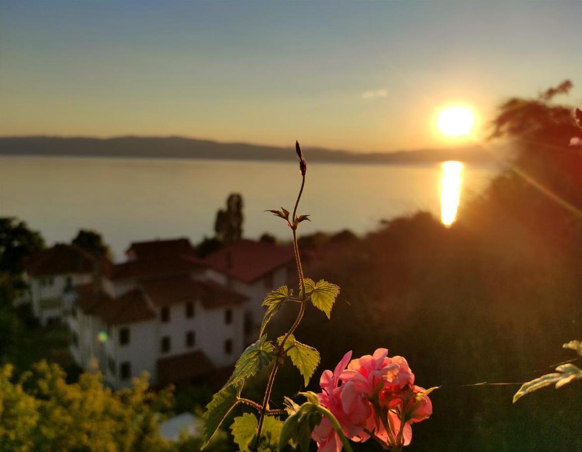 Villa Forest Paradise Ohrid Kültér fotó