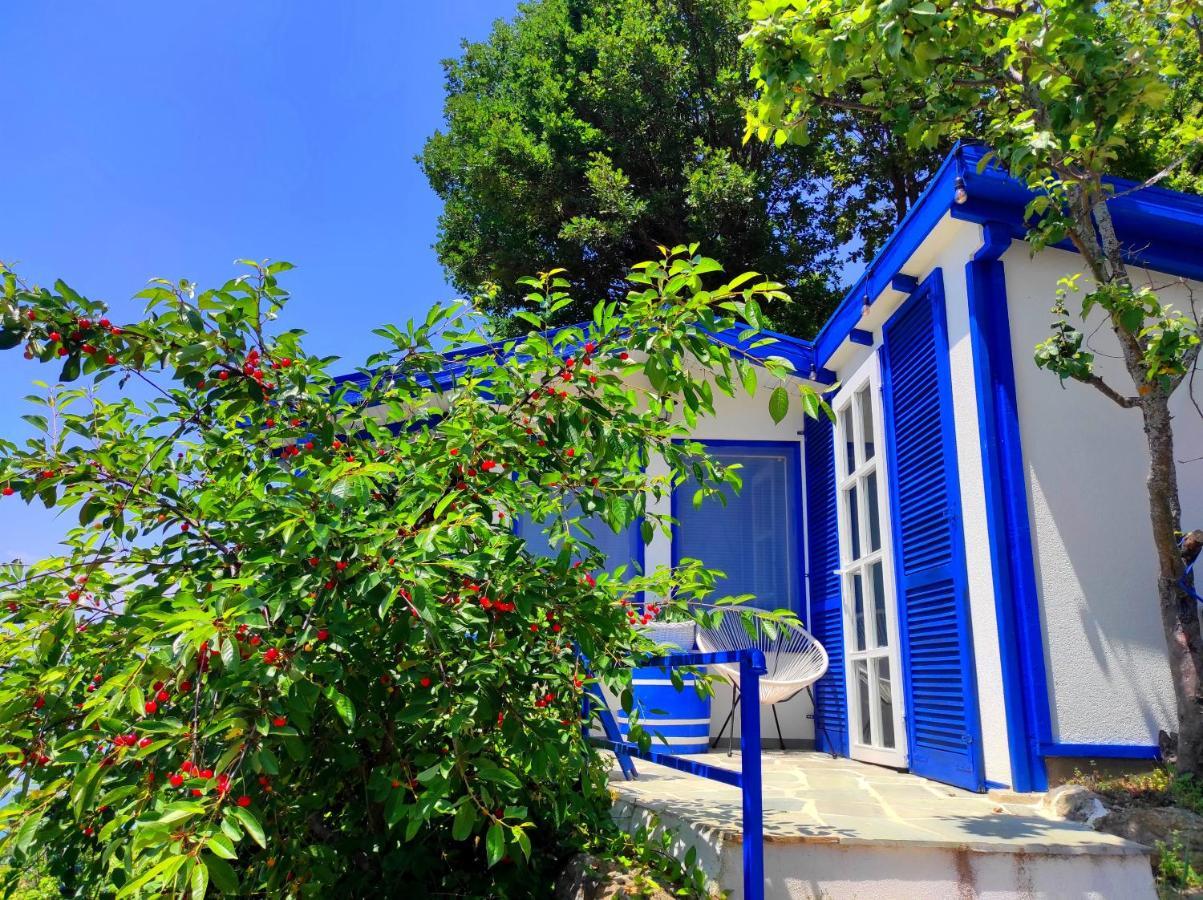 Villa Forest Paradise Ohrid Kültér fotó